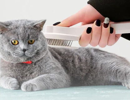 Conjunto Premium 3 em 1 para o Cuidado dos Animais de Estimação ( azul claro )