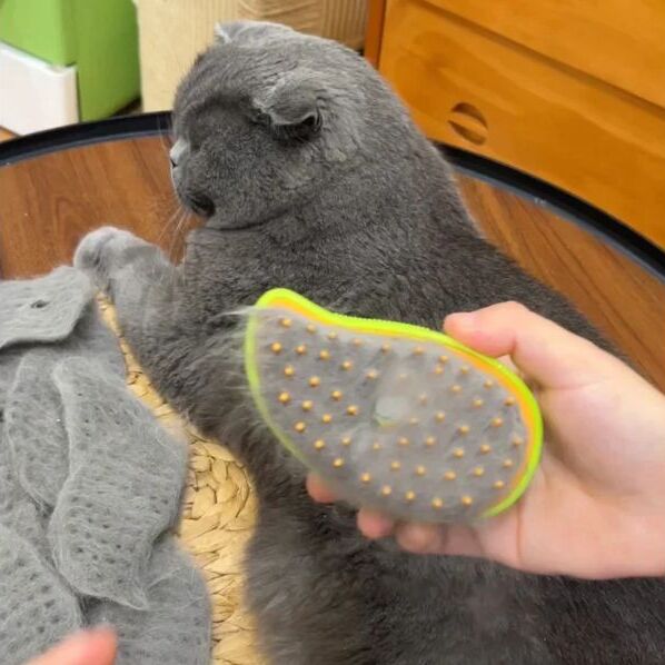 Conjunto Premium 3 em 1 para o Cuidado dos Animais de Estimação ( azul claro )