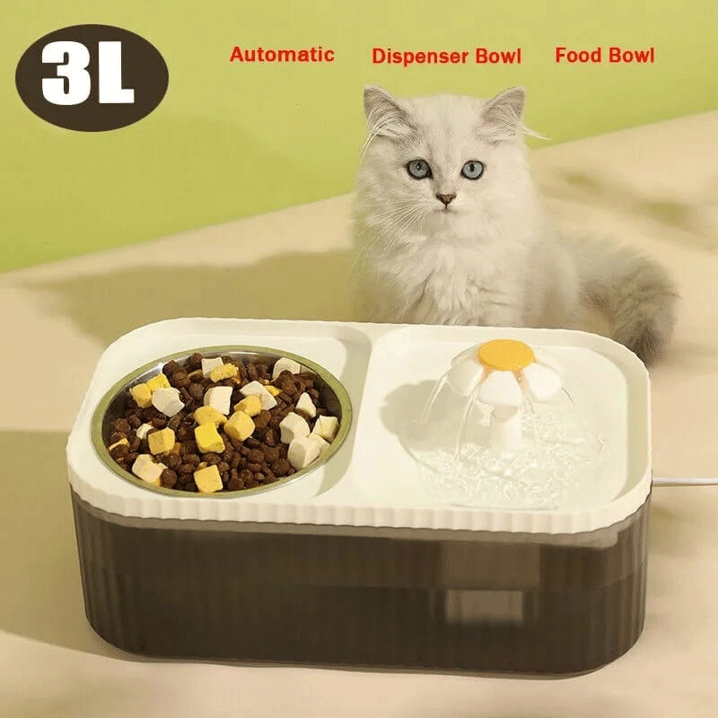 Comedero y bebedero para mascotas con fuente.