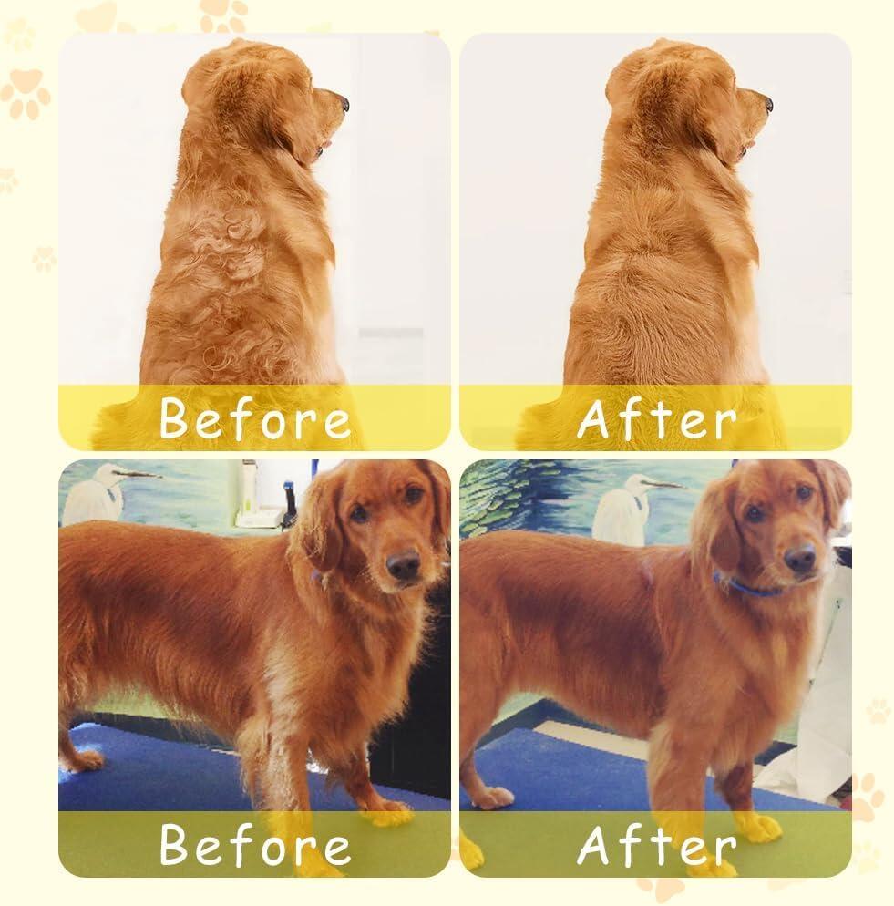 Kit de aseo para mascotas 3 en 1 + Regalo: Vapor Mascotas